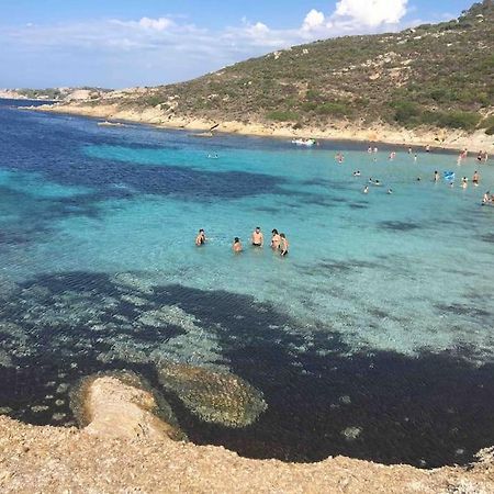 Exceptionnelle Vue Mer Calvi - Piscine - T2 Екстер'єр фото