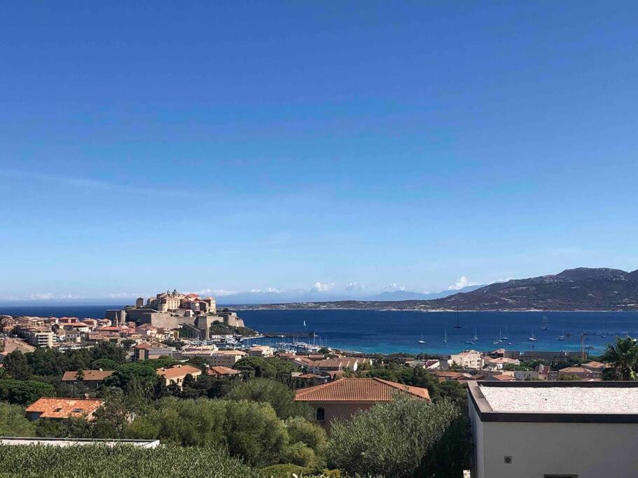 Exceptionnelle Vue Mer Calvi - Piscine - T2 Екстер'єр фото