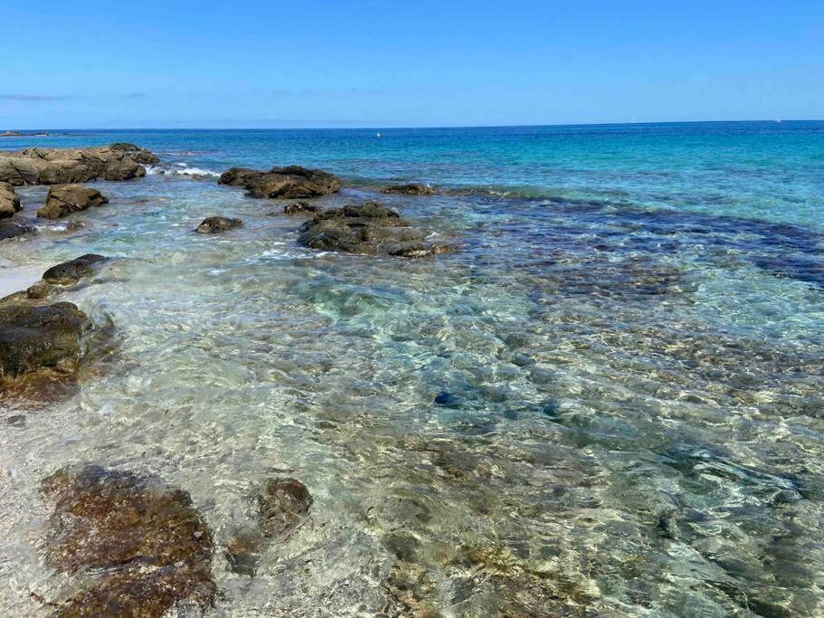 Exceptionnelle Vue Mer Calvi - Piscine - T2 Екстер'єр фото