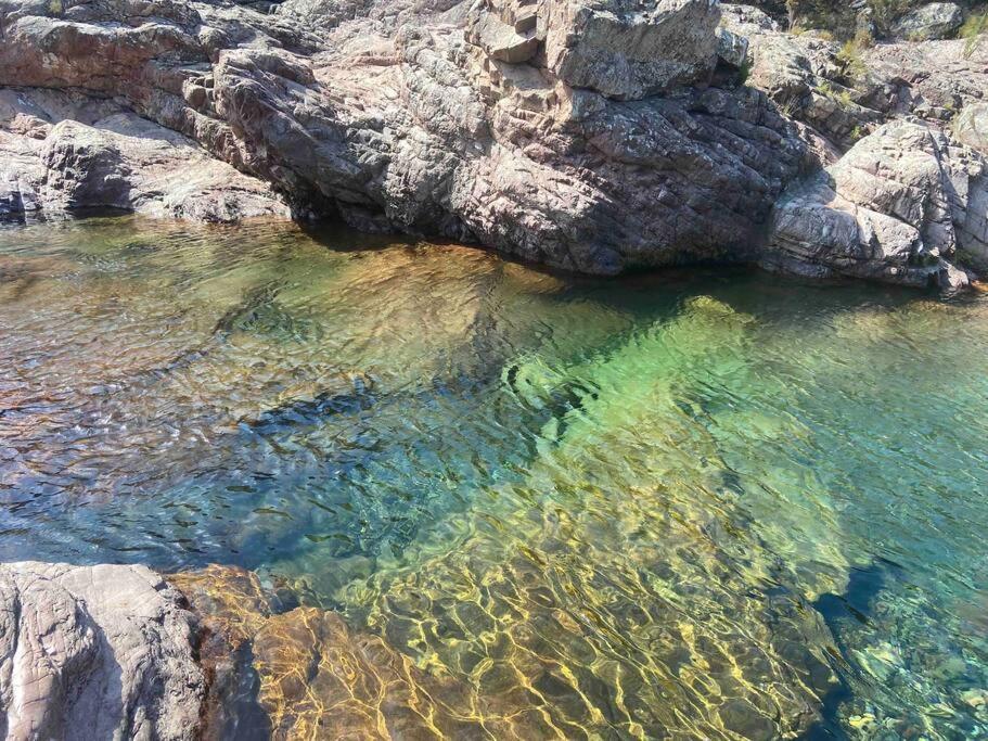 Exceptionnelle Vue Mer Calvi - Piscine - T2 Екстер'єр фото