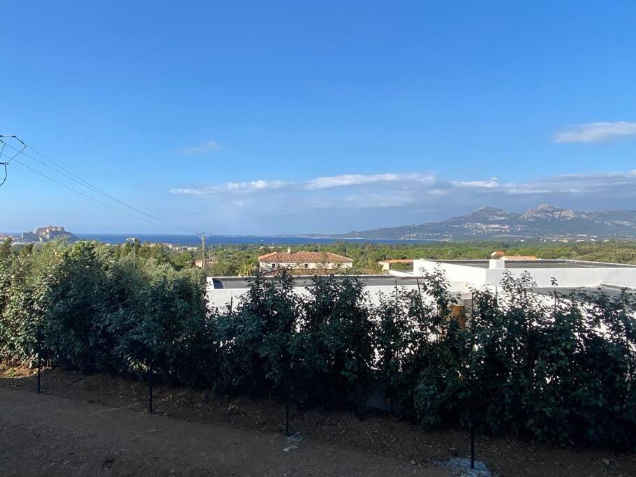 Exceptionnelle Vue Mer Calvi - Piscine - T2 Екстер'єр фото