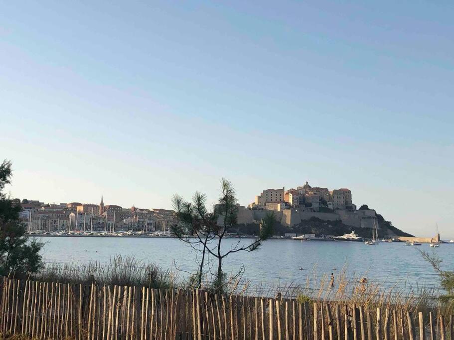 Exceptionnelle Vue Mer Calvi - Piscine - T2 Екстер'єр фото